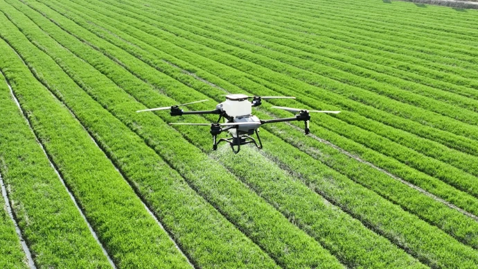A large field of green grass with a small plane in the middle of it